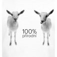 Biele dámske tričko ZOOT Original 100 Přírodní kozy